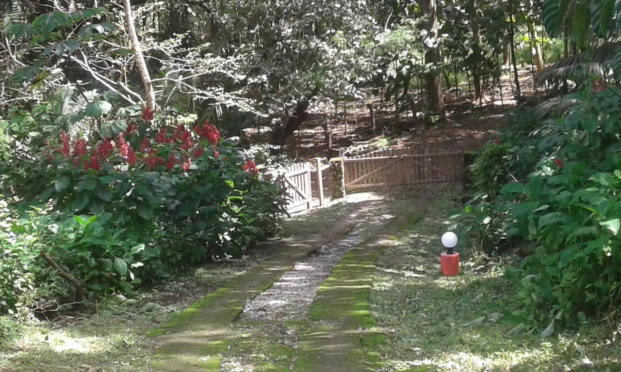 El Nido Rojo Bed & Breakfast Samara Bagian luar foto